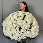101 белая хризантема в черной круглой упаковке
